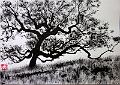 encre de chine_0008